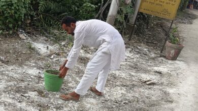 गौ सेवा एवम क्षेत्रों मैं लगे गंदगी के अंबार को साफ कर लगाए पेड़ पौधे कहा मिलता है दिली सकून:शादाब अली कारगी क्षेत्र मैं भी नगर निगम के सुपरवाइजर से मिल लगाए पौधे