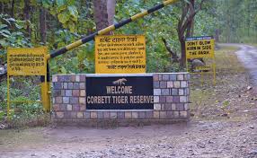 15 नवंबर को खुलेगा कॉर्बेट नेशनल पार्क का ढिकाना जोन