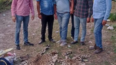 गुलदार की दो खालों सहित वन्य जीव तस्कर गिरफ्तार