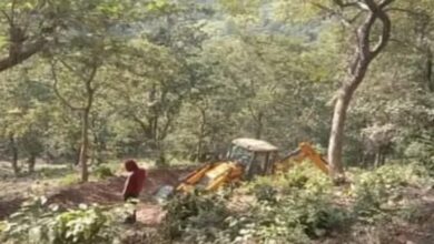 अवैध कटान पर वन विभाग ने मंत्री पुत्र पर दर्ज कराया मुकदमा