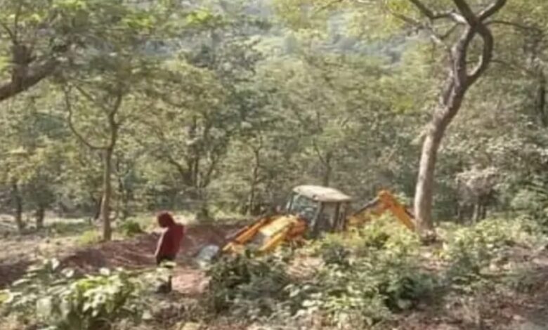 अवैध कटान पर वन विभाग ने मंत्री पुत्र पर दर्ज कराया मुकदमा अवैध कटान पर वन विभाग ने मंत्री पुत्र पर दर्ज कराया मुकदमा